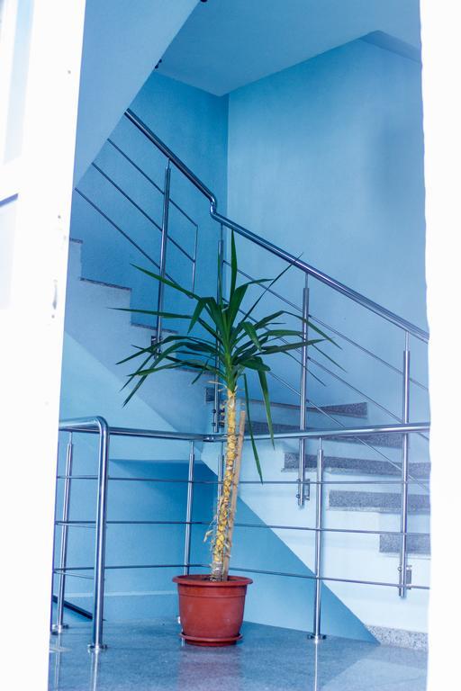 Vila Asterias エフォリエ・ノルド エクステリア 写真